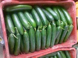 ����������� ������� � ������������ ���� � ������ �� ���������