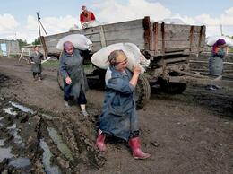 В России хотят принудить всех работоспособных граждан к труду