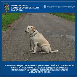 � ������������ ������ ������� �������-���������