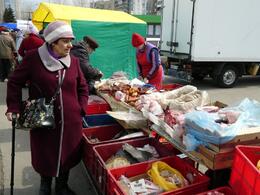 17 ������� � ������������ ������ ������������� �������