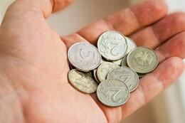 ��������������� ����������  ������ ������������� ����������