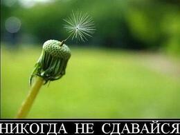 �� "��������" ������ ������� ���