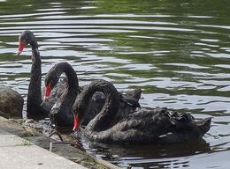 ���������� ��������� � 2026-� ���������� ��������