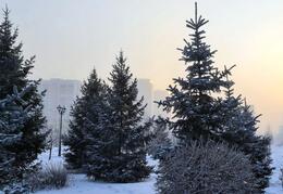 � ������������ �������� ����� ��� �� �������� ������������