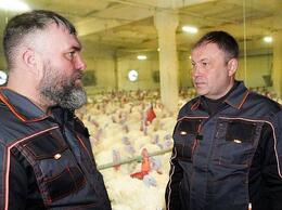 ���� �������: �� ������� ��������� ������� � �������� ����������� � ������ ���