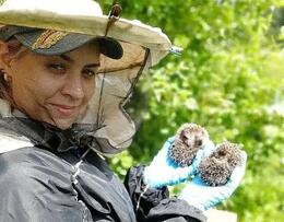 ���� ������� ���� �������� � �������