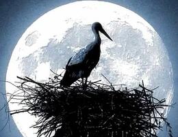 ����� ��� ����� ����� ���� ��� ������ ��������� ������ �����