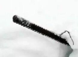 � �������� ���� ��������������, ��������� �� �������