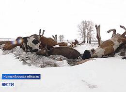 � ������������� ������� ��������� ������� �����