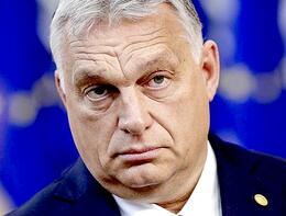 ������ �����  ����������  ��������� ������� ������