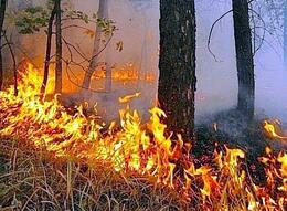 � �������� �������� ����������� ������ ��������������� �����.