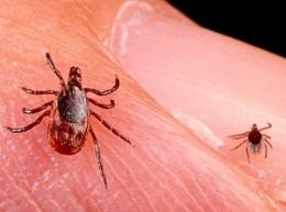 ����� � �������� ����� ����� �����