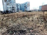 ����������� ����������� ��������� ��������