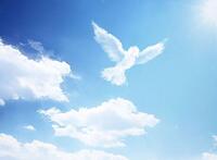 ������ ������� � "���������� ���������" 2026 ����