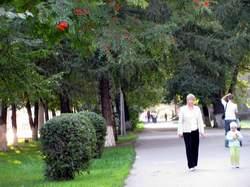 �� ����������� ����������� ����