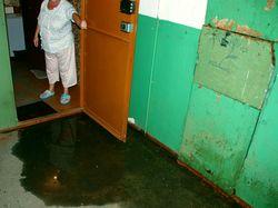 ��� "�����������" �� ������ �������� ������ �������, �� � ��� �������