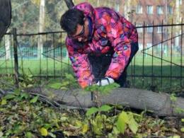 � ������������ ������ ������� ����� ������ � ����������� ����������� �������