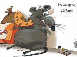 МП "ССК" хочет "откусить" от бюджета Новокузнецка изрядный кусок