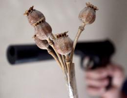 � �������� 63-������ ������ ������� ��������������, ������������� �� ���������