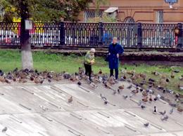 ����� �����