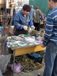 �������������� ����������������� ������� ������ �� ����� "�������"