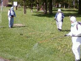 ����� �� ������ ������������� ����� � ������ �� �������