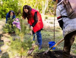 ����� � ��+ ������� ���������� ����� �� ���������� �������