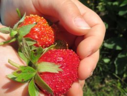 � �������� ����� �������� ��������