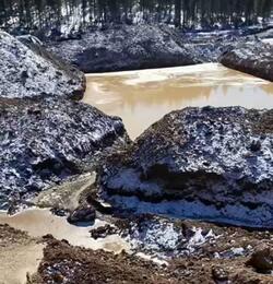 � �������� �������������� ������������ ���� ���������������� �����������