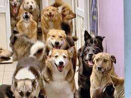 ����������� �� ��� �������� ������ ����� �� ������ ����� ������