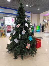 � ��������  �������� ����� ���������� ��� ���� � �������