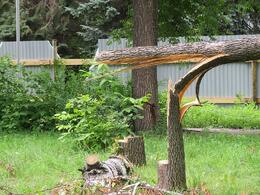 ����� "�������������" ������ ���� ��������� ��������������