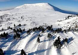 ��������������������� ������ ����� ������ "����������� " �������