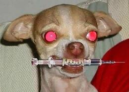 � ��� �������� �������� ����� �������� �� ���������.