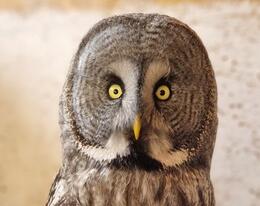 "�������� �����" ���������� � ��������� "��������� ������"