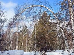 ������ ��� ������������� ���������� � �����