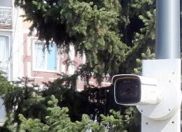 ������ �� ��������������� ����� 5,5 �������� ������ � �������