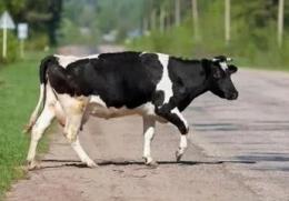 ��������� �������� � ��� ������ ��������� ��������� 900 ����� ������