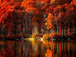 45 ��� ����� ������� "���� ������"