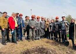 � ������������ ����������� ������� ����������