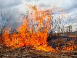 ���� ��������� ������������ ���� � ���������������