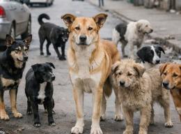 �������� ����� � �������� ��� �� ��������