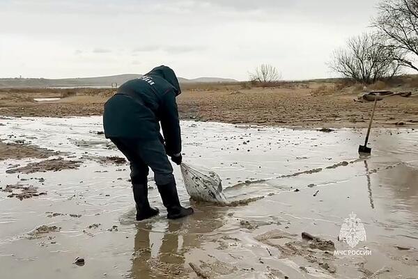 В Севастополе объявили режим ЧС  из-за разлива мазута