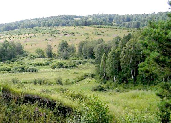 В Кузбассе ликвидируют 