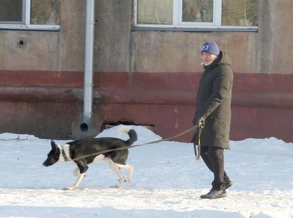 В Кузбассе ввели дополнительные требования к содержанию домашних животных